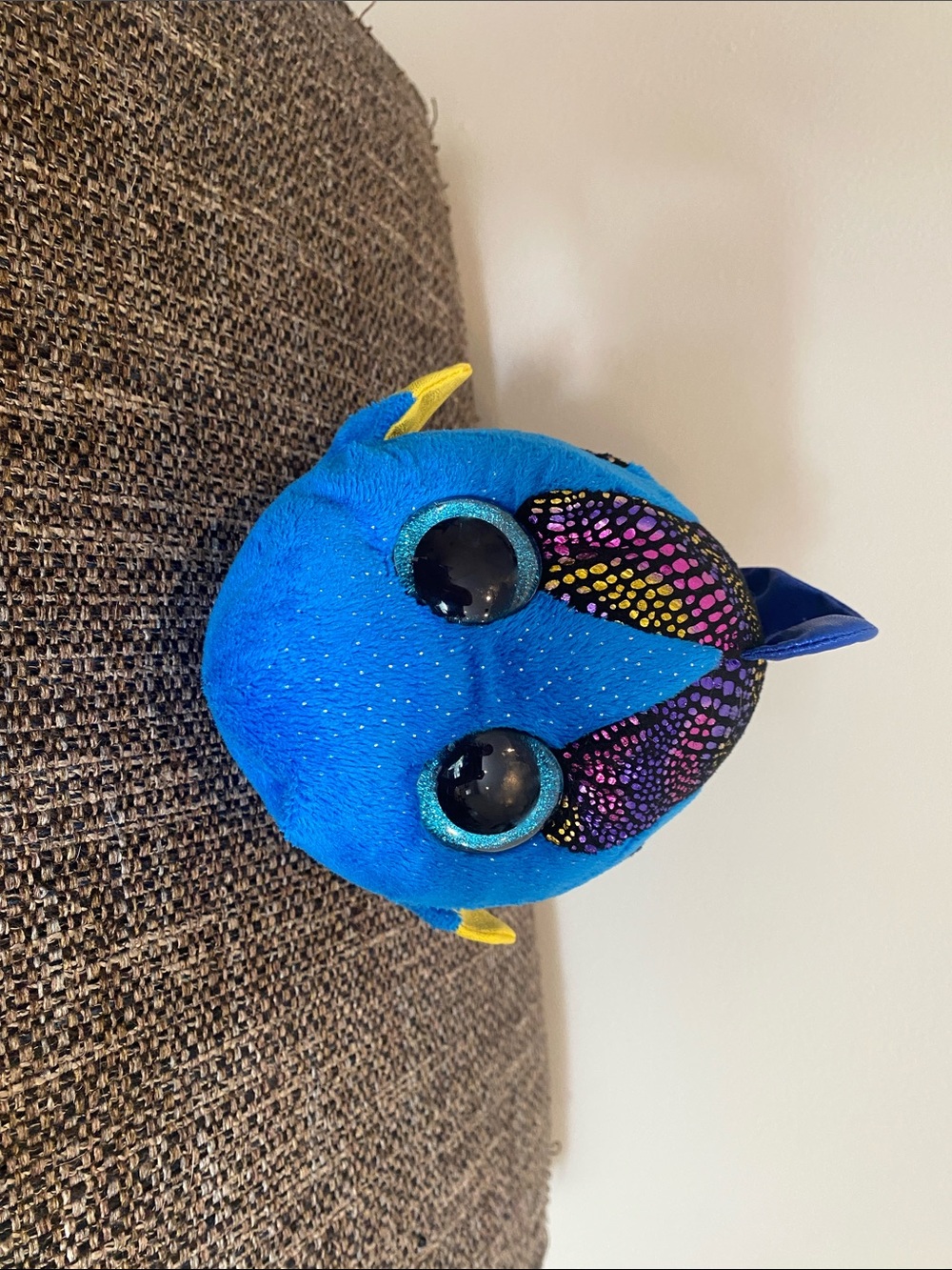 Aqua the Fish